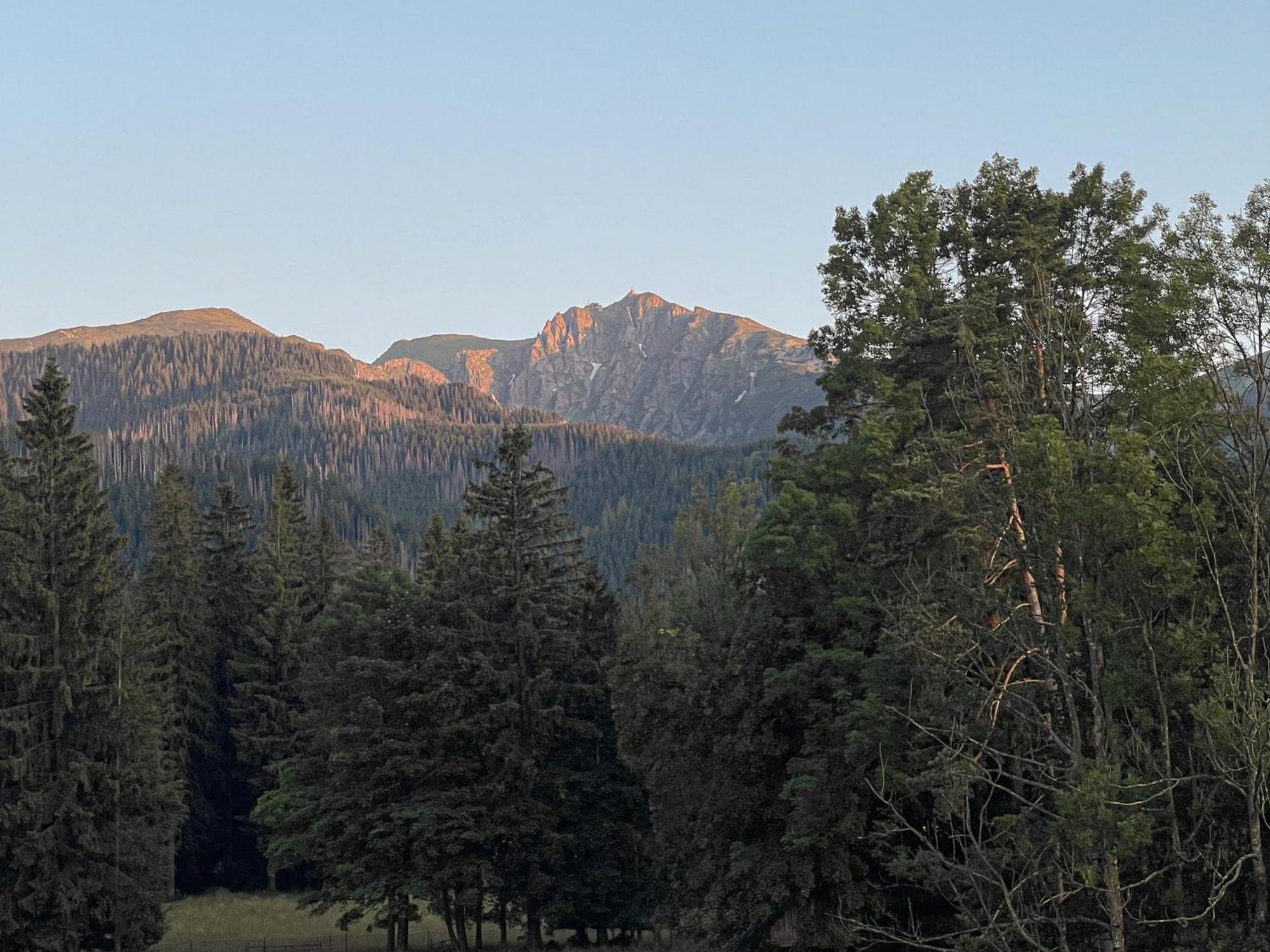 Rezydencja Owca Na Szlaku Zakopane Exterior foto